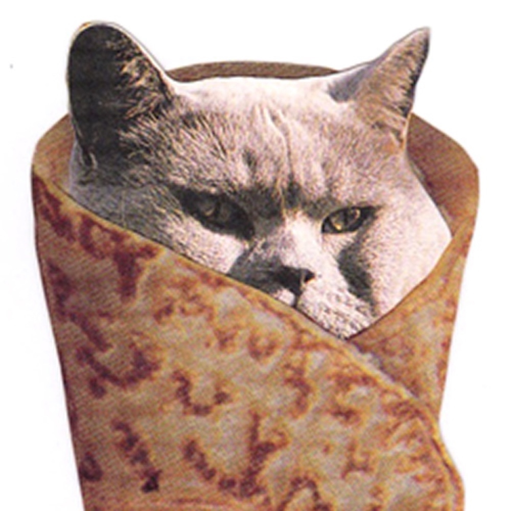 Meet your Posher, Markieann